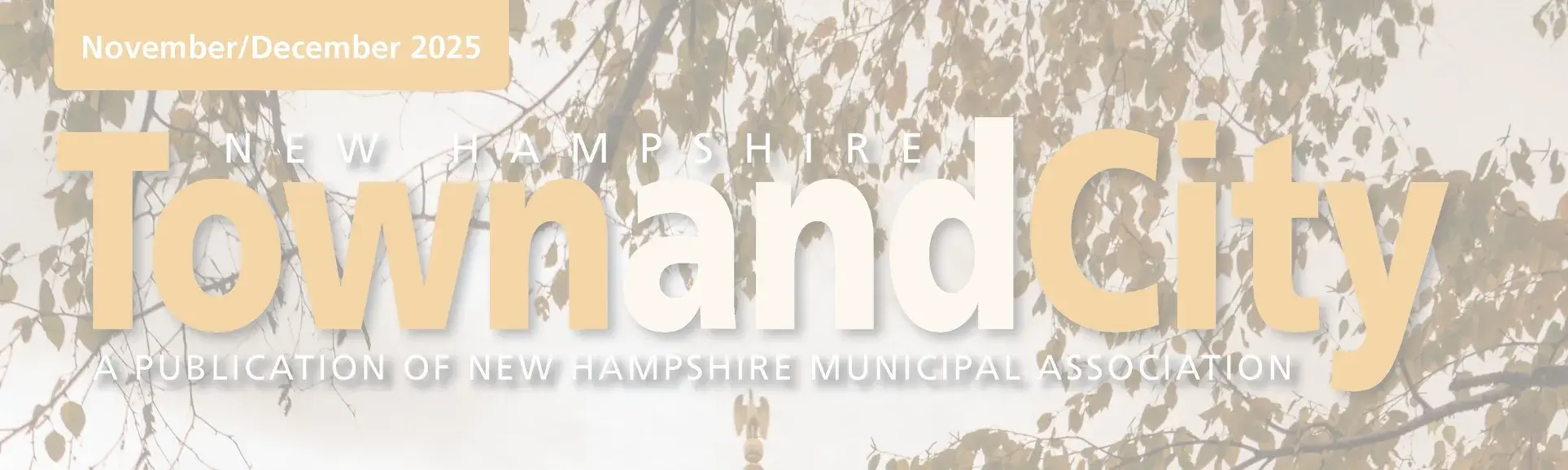 nov dec town and city 25