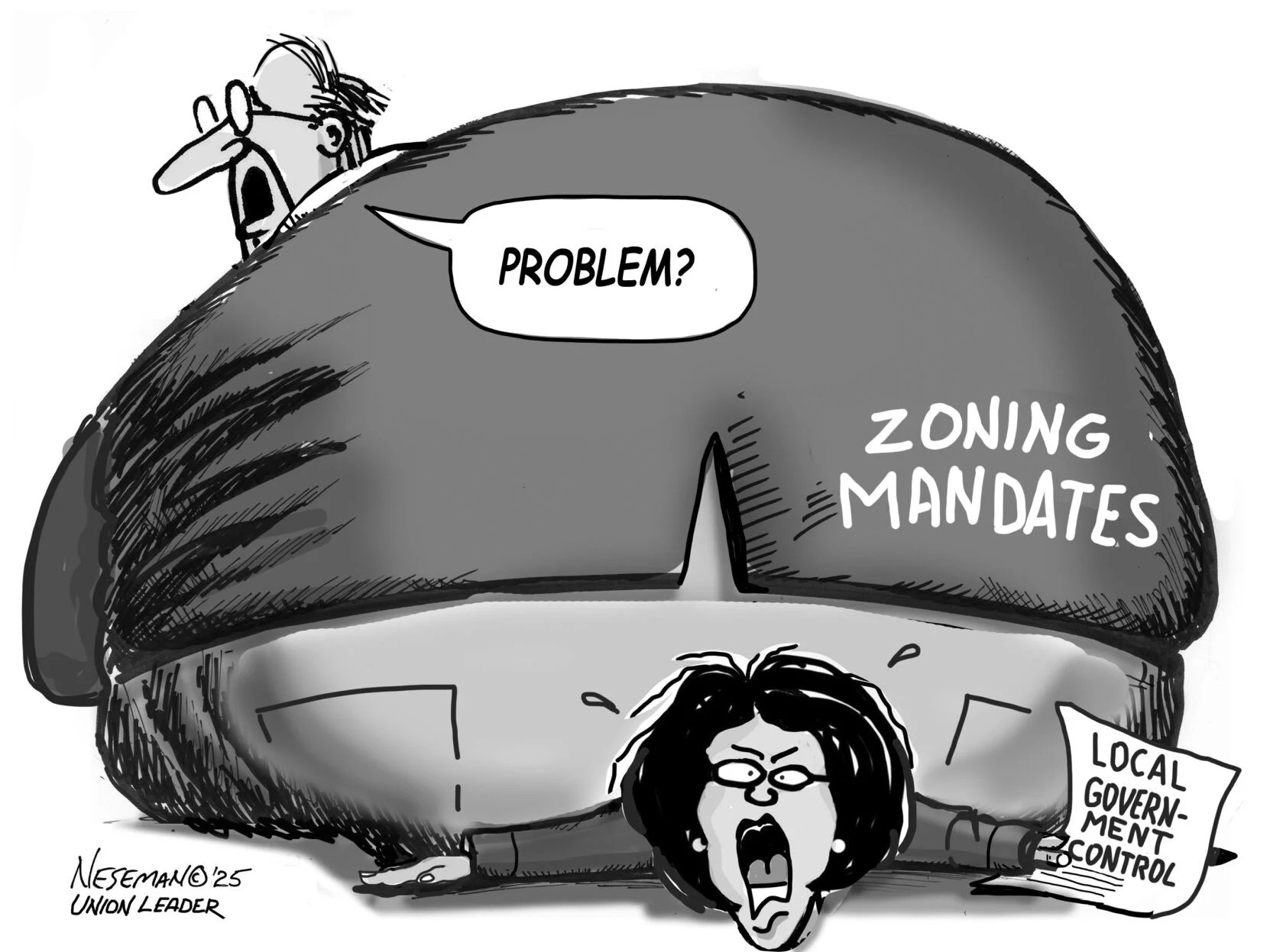 Cartoon by Dale Neseman