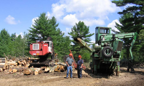 timber workers