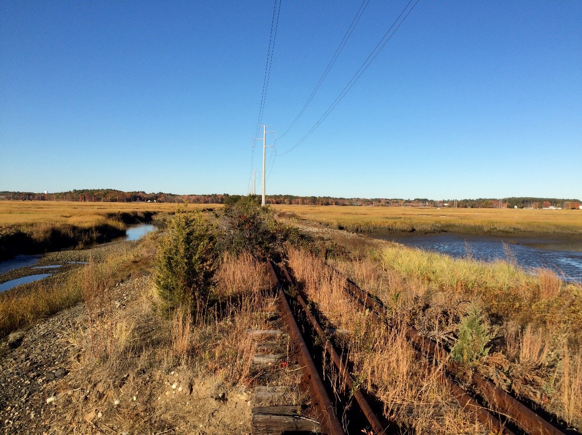 Hampton marsh