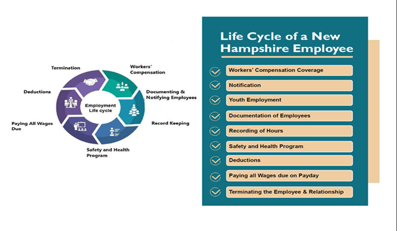 life cycle graphic 